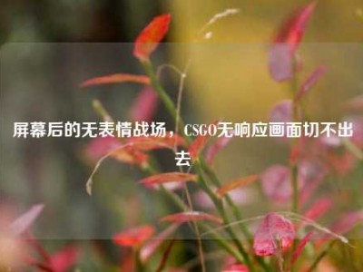 屏幕后的无表情战场，CSGO无响应画面切不出去