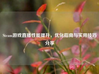 Steam游戏直播性能提升，优化指南与实用技巧分享