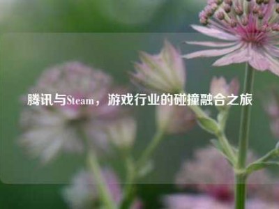 腾讯与Steam，游戏行业的碰撞融合之旅