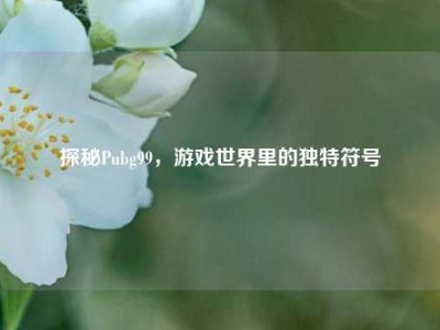 探秘Pubg99，游戏世界里的独特符号