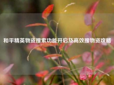 和平精英物资搜索功能开启及高效搜物资攻略