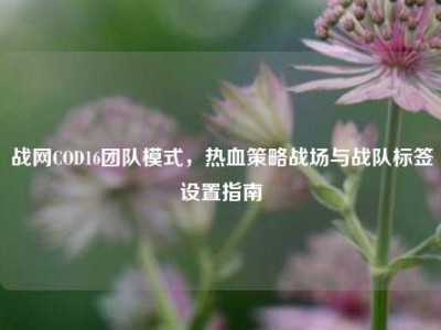 战网COD16团队模式，热血策略战场与战队标签设置指南