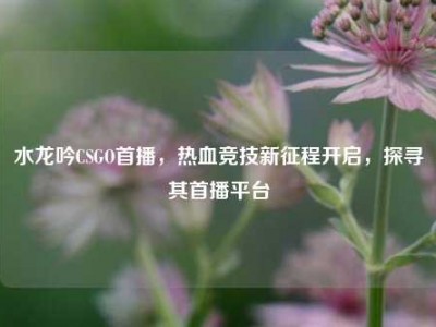 水龙吟CSGO首播，热血竞技新征程开启，探寻其首播平台