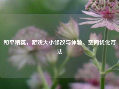 和平精英，游戏大小修改与体验、空间优化方法