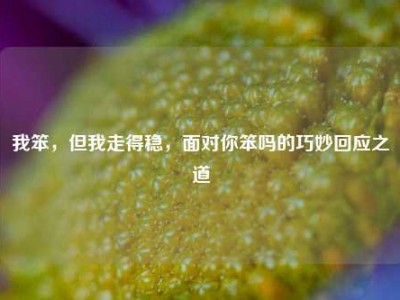 我笨，但我走得稳，面对你笨吗的巧妙回应之道