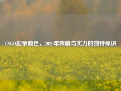 CSGO勋章颜色，2020年荣耀与实力的独特标识