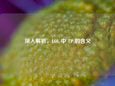 深入解析，LOL 中 TP 的含义