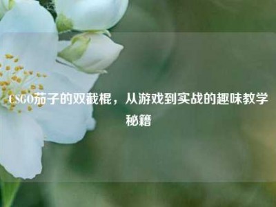 CSGO茄子的双截棍，从游戏到实战的趣味教学秘籍