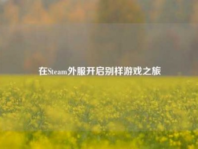 在Steam外服开启别样游戏之旅
