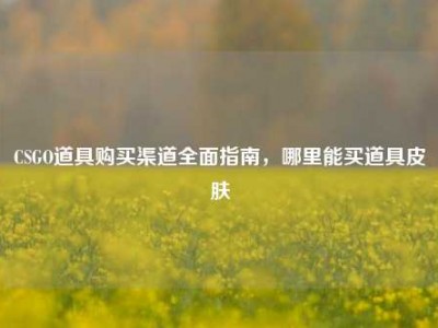 CSGO道具购买渠道全面指南，哪里能买道具皮肤