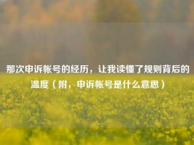 那次申诉帐号的经历，让我读懂了规则背后的温度（附，申诉帐号是什么意思）