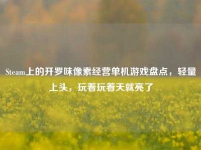 Steam上的开罗味像素经营单机游戏盘点，轻量上头，玩着玩着天就亮了
