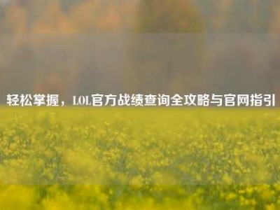 轻松掌握，LOL官方战绩查询全攻略与官网指引