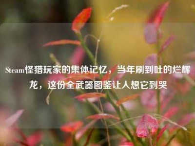 Steam怪猎玩家的集体记忆，当年刷到吐的烂辉龙，这份全武器图鉴让人想它到哭