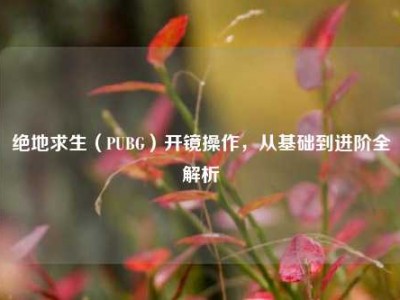 绝地求生（PUBG）开镜操作，从基础到进阶全解析