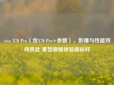 vivo X70 Pro（含X70 Pro+参数），影像与性能双向奔赴 重塑旗舰体验新标杆