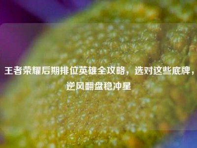 王者荣耀后期排位英雄全攻略，选对这些底牌，逆风翻盘稳冲星