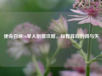 使命召唤16单人剧情攻略，短暂背后的得与失