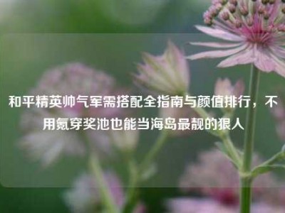 和平精英帅气军需搭配全指南与颜值排行，不用氪穿奖池也能当海岛最靓的狠人