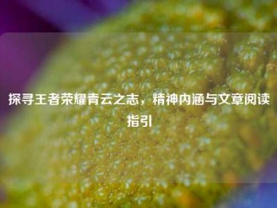 探寻王者荣耀青云之志，精神内涵与文章阅读指引
