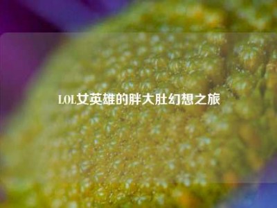 LOL女英雄的胖大肚幻想之旅