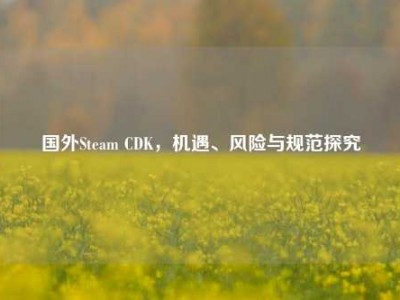 国外Steam CDK，机遇、风险与规范探究