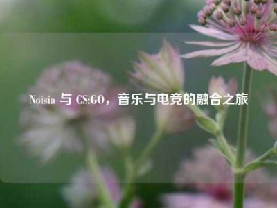 Noisia 与 CS:GO，音乐与电竞的融合之旅