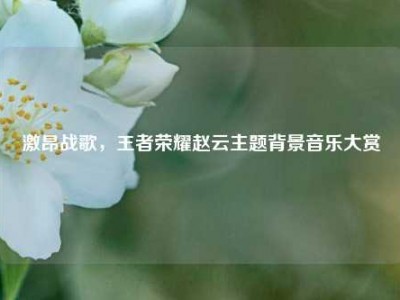 激昂战歌，王者荣耀赵云主题背景音乐大赏