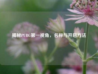 揭秘PUBG第一视角，名称与开启方法