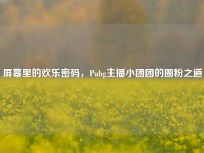 屏幕里的欢乐密码，Pubg主播小团团的圈粉之道