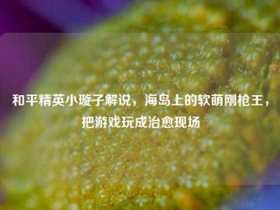 和平精英小璇子解说，海岛上的软萌刚枪王，把游戏玩成治愈现场