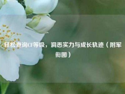 轻松查询CF等级，洞悉实力与成长轨迹（附军衔图）