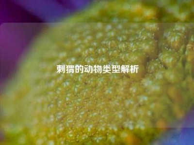 刺猬的动物类型解析