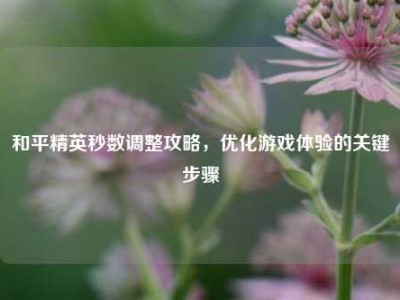和平精英秒数调整攻略，优化游戏体验的关键步骤