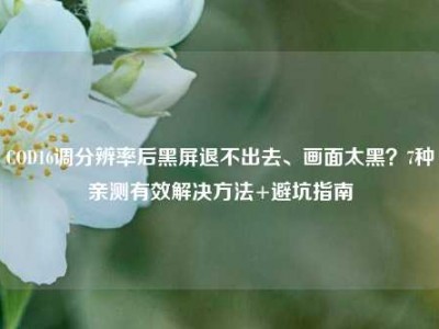 COD16调分辨率后黑屏退不出去、画面太黑？7种亲测有效解决方法+避坑指南