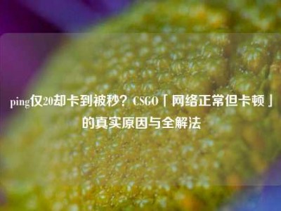 ping仅20却卡到被秒？CSGO「网络正常但卡顿」的真实原因与全解法