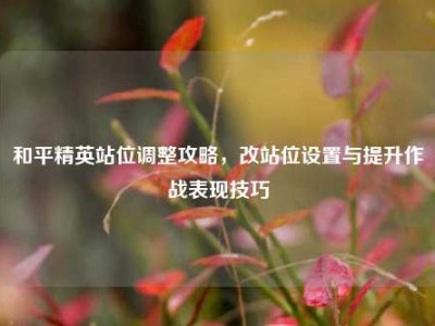 和平精英站位调整攻略，改站位设置与提升作战表现技巧