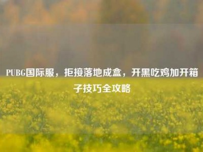 PUBG国际服，拒接落地成盒，开黑吃鸡加开箱子技巧全攻略