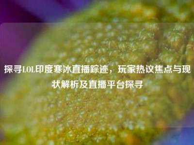 探寻LOL印度寒冰直播踪迹，玩家热议焦点与现状解析及直播平台探寻