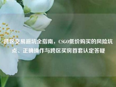 跨区交易避坑全指南，CSGO低价购买的风险坑点、正确操作与跨区买房首套认定答疑