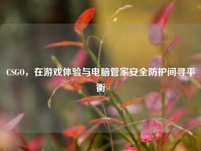 CSGO，在游戏体验与电脑管家安全防护间寻平衡