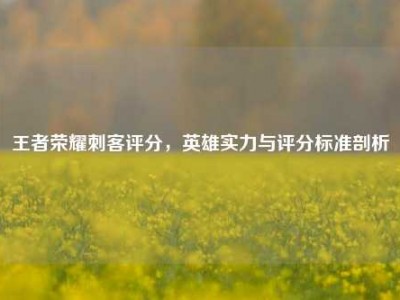 王者荣耀刺客评分，英雄实力与评分标准剖析