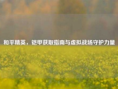 和平精英，铠甲获取指南与虚拟战场守护力量