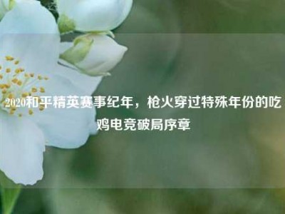 2020和平精英赛事纪年，枪火穿过特殊年份的吃鸡电竞破局序章