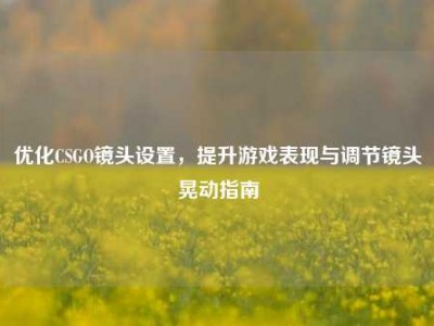 优化CSGO镜头设置，提升游戏表现与调节镜头晃动指南