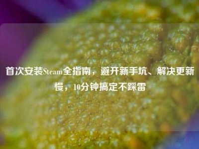 首次安装Steam全指南，避开新手坑、解决更新慢，10分钟搞定不踩雷