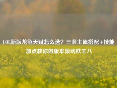 LOL新版龙龟天赋怎么选？三套主流搭配+技能加点教你做版本滚动铁王八