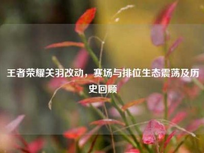 王者荣耀关羽改动，赛场与排位生态震荡及历史回顾