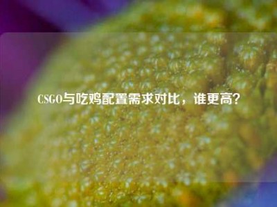 CSGO与吃鸡配置需求对比，谁更高？