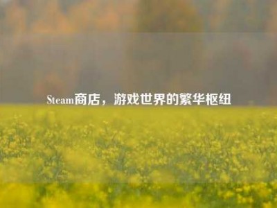 Steam商店，游戏世界的繁华枢纽